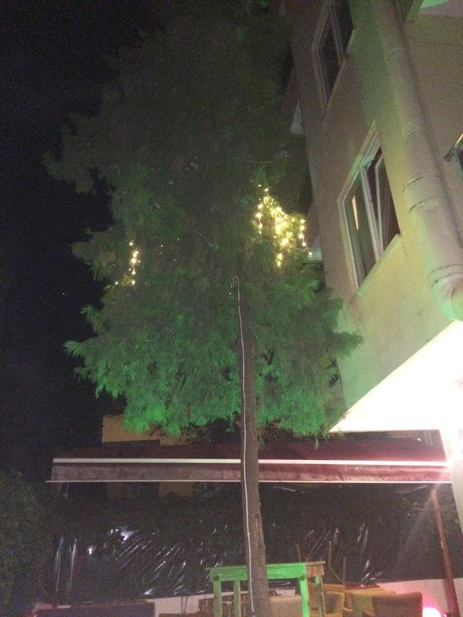 Alanya Demir Hotel מראה חיצוני תמונה